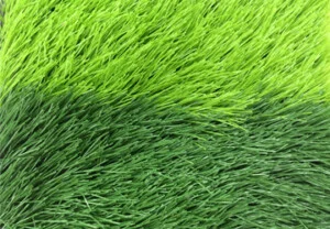 Công Ty TNHH DVN Việt Nam