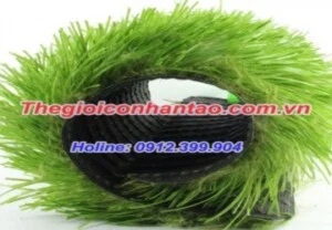 Công Ty TNHH DVN Việt Nam