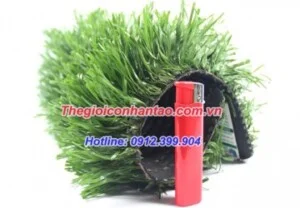 Công Ty TNHH DVN Việt Nam