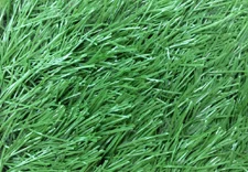 Công Ty TNHH DVN Việt Nam