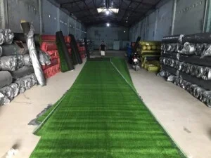 Công Ty TNHH Thể Thao TNG Việt Nam