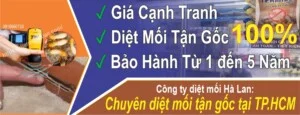 Công Ty TNHH Thương Mại Dịch Vụ Trừ Mối Và Côn Trùng Hà Lan