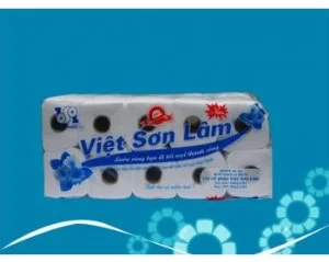 Công Ty Cổ Phần Việt Sơn Lâm