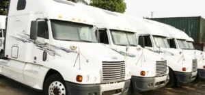 Công Ty TNHH Thương Mại Dịch Vụ Xuất Nhập Khẩu Song Phát