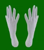 Công Ty TNHH Võ Hoàng