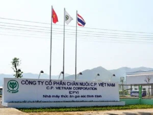 Cho Thuê Kho Bãi Toàn Phát – Công Ty TNHH TM DV Sản Xuất Toàn Phát