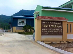 Cho Thuê Kho Bãi Toàn Phát – Công Ty TNHH TM DV Sản Xuất Toàn Phát
