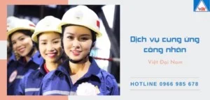 Công Ty TNHH Thương Mại – Dịch Vụ Việt Đại Nam