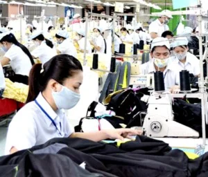 Công Ty TNHH Thương Mại – Dịch Vụ Việt Đại Nam