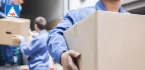 Công Ty TNHH Thương Mại – Dịch Vụ Việt Đại Nam