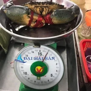 Công Ty TNHH Đại Duy An