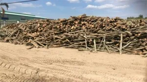 Củi Đốt Huỳnh Thanh Lễ – Doanh Nghiệp Tư Nhân Huỳnh Thanh Lễ