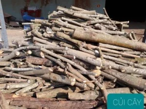 Chất Đốt Sạch Huy Hoàng – Công Ty TNHH SX Và TM Năng Lượng Huy Hoàng