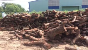 Củi Đốt Huỳnh Thanh Lễ – Doanh Nghiệp Tư Nhân Huỳnh Thanh Lễ