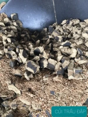 Chất Đốt Sạch Huy Hoàng – Công Ty TNHH SX Và TM Năng Lượng Huy Hoàng