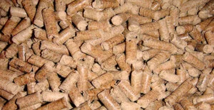 Công Ty TNHH SXTM Năng Lượng Xanh DB