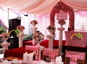 Công Ty TNHH Tổ Chức Sự Kiện Chuyên Nghiệp TTM