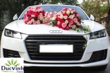 Công Ty TNHH Vận Tải Và Du Lịch Đức Vinh