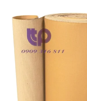 Chi Nhánh Công Ty TNHH Phát Triển TTP