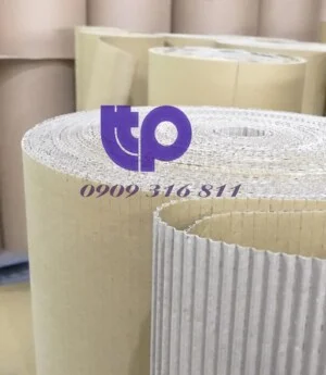 Chi Nhánh Công Ty TNHH Phát Triển TTP
