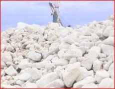 Công Ty Cổ Phần Sản Xuất Và  Công Nghệ Nhựa Pha Lê