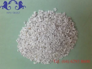 Bột Đá Đá Hạt HPV – Công Ty CP Đầu Tư HPV Việt Nam