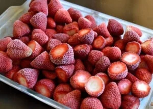 Tổng Kho Trái Cây Cấp Đông Đỗ Bá Năm