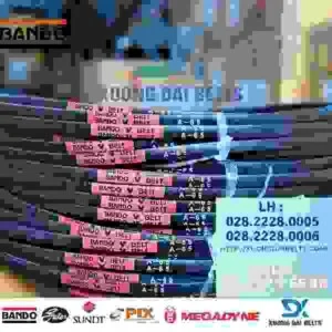 Xương Đại BELTS – Công Ty TNHH Thương Mại Xương Đại