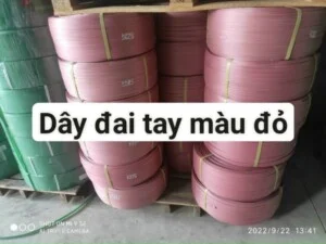 Vật Liệu Đóng Gói Tân Đại Nghĩa – Công Ty TNHH Xuất Nhập Khẩu Tân Đại Nghĩa