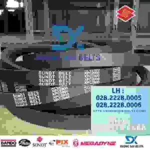 Xương Đại BELTS – Công Ty TNHH Thương Mại Xương Đại