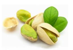 Công Ty TNHH La Hay