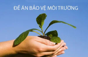Công Ty TNHH Công Nghệ Môi Trường Niềm Tin Việt