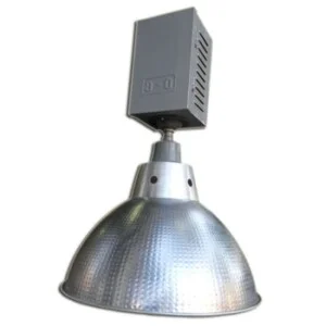 Công Ty TNHH Điện Đại Tân