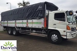 Công Ty TNHH Vận Tải Và Du Lịch Đức Vinh
