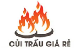 Công Ty TNHH Một Thành Viên Ngọc Song Nguyên