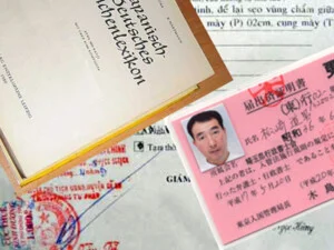 Dịch thuật VHD – Công Ty TNHH Tư Vấn Và Dịch Vụ VHD