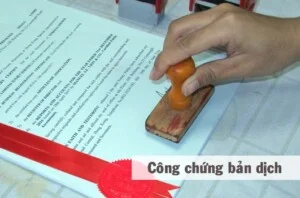 Dịch Thuật PNV – Công Ty TNHH Dịch thuật PNV