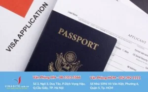 Trung Tâm Dịch Thuật Vinasite – Công Ty TNHH Vinasite Việt Nam