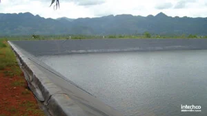 Xử Lý Nước Thải Intechco Miền Nam – Công Ty TNHH Intechco Miền Nam