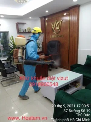 Trừ Mối Hòa Tâm – Công Ty TNHH Thương Mại – Dịch Vụ Trừ Mối Hòa Tâm