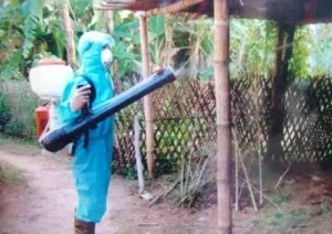 Chi Nhánh Công Ty Cổ Phần Trừ Mối – Khử Trùng