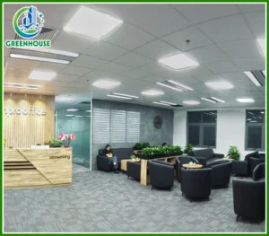 Vệ Sinh Greenhouse – Công Ty Cổ Phần Dịch Vụ Vệ Sinh Greenhouse