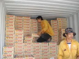 Logistics Hải Khánh – Công Ty CP Giao Nhận Và Vận Tải Quốc Tế Hải Khánh Văn Phòng Hải Phòng