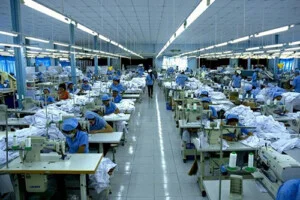 May Xuất Khẩu ý Tưởng 102 – Công Ty TNHH Sáng Tạo Và Phát Triển ý Tưởng 102