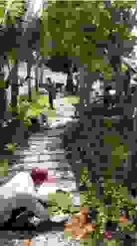 Công Ty TNHH Cảnh Quan Trịnh Thập