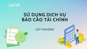 Dịch Vụ Kế Toán Cát Phượng