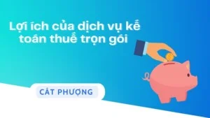 Dịch Vụ Kế Toán Cát Phượng