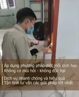 Diệt Mối Minh Long – Công Ty TNHH Thương Mại Dịch Vụ Trừ Mối Và Côn Trùng Minh Long