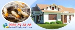 Công Ty TNHH Dịch Vụ Thương Mại Việt Nam Thăng Long