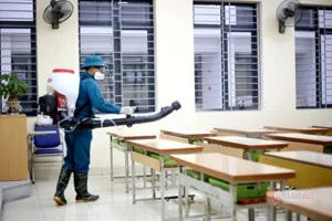 Diệt Côn Trùng Bình Minh Green – Công Ty TNHH Bình Minh Green